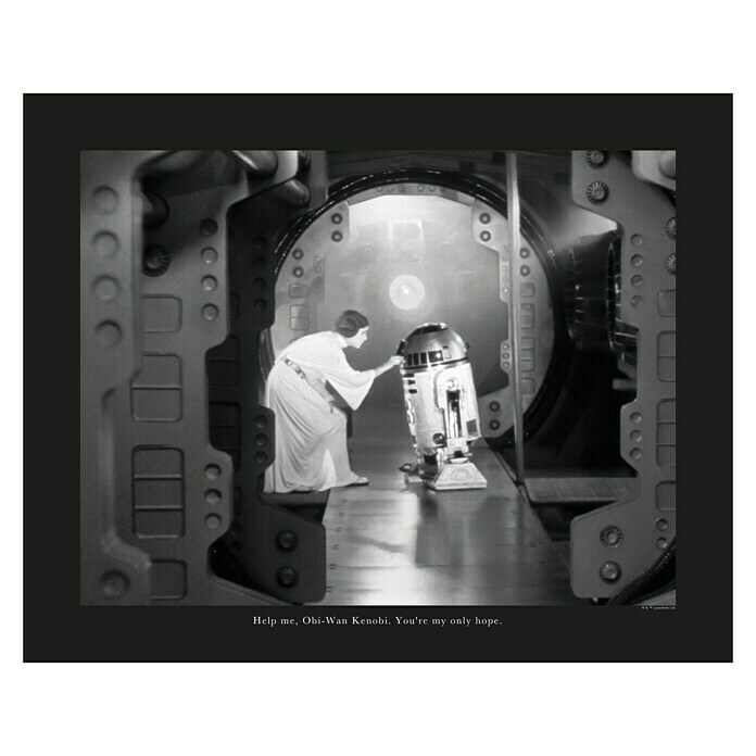 Komar Star Wars Wandbild Leia R2D2 Quote (70 x 50 cm, Vlies)