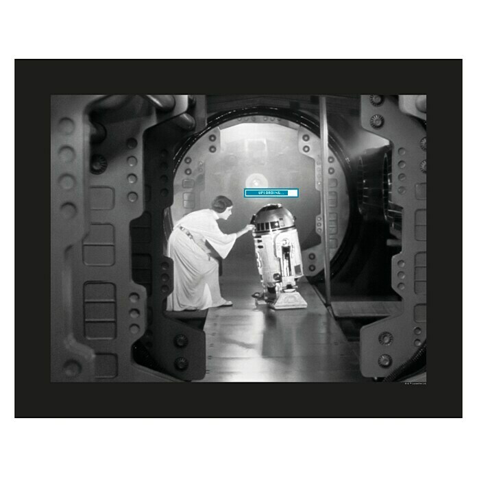 Komar Star Wars Poster Leia R2D2 Upload (Star Wars, B x H: 70 x 50 cm)