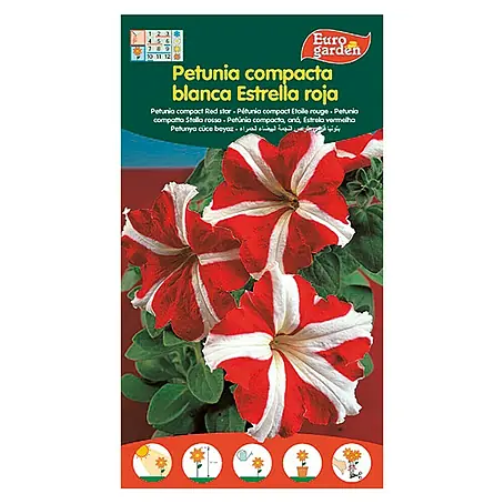 Euro Garden  Semillas de flores Petúnia Compacta Estrella Roja