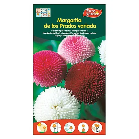 Euro Garden  Semillas de flores Margarita de los Prados Variada