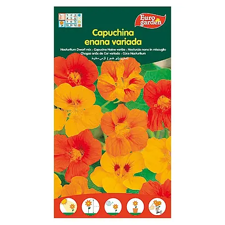 Euro Garden  Semillas de hierbas Capuchina enana variada