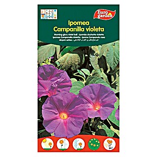 Euro Garden Semillas de flores Ipomea Campanilla (Época de floración: Junio)