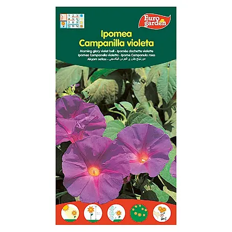 Euro Garden  Semillas de flores Ipomea Campanilla