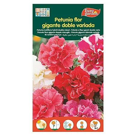 Euro Garden  Semillas de flores Gigante Doble Variada