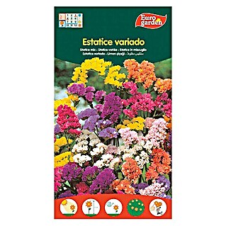 Euro Garden Semillas de flores Estatice variado (Época de floración: Junio)