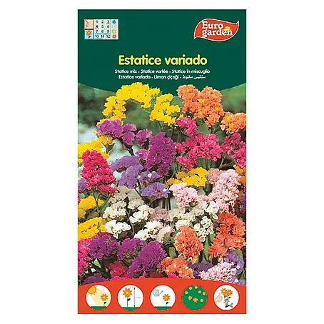 Euro Garden  Semillas de flores Estatice variado
