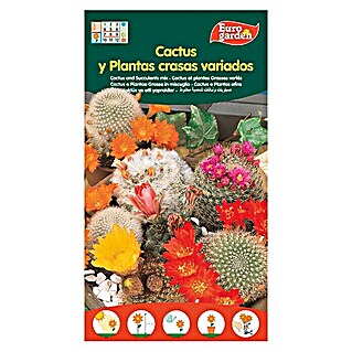 Euro Garden Semillas de Cactus (Época de floración: Marzo)