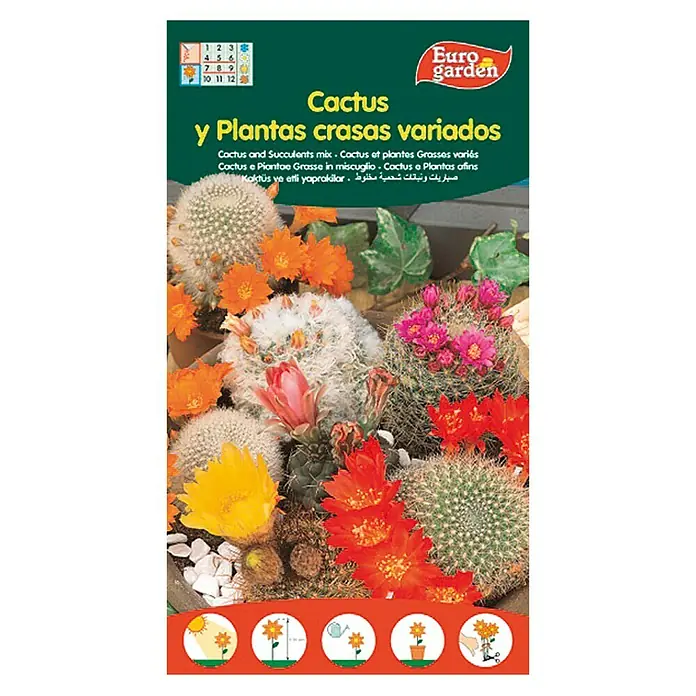 Euro Garden Semillas de Cactus - Época de floración: Marzo - Mezcla diversa de cactus y suculentas de Euro garden. Una hermosa selección de plantas para interior y exterior.