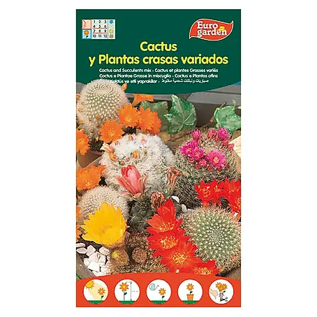 Euro Garden  Semillas de Cactus