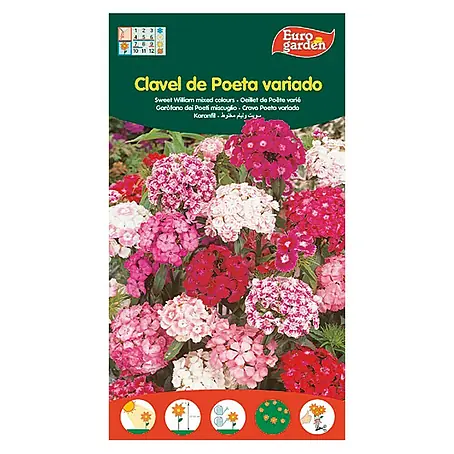 Euro Garden  Semillas de flores Clavel de Poeta variado