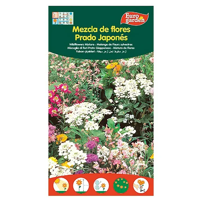 Euro Garden Semillas de flores Mezcla de Flores Prado Japonés - Época de floración: Junio - Semillas de mezcla de flores de prado japonés de Euro garden. Una mezcla colorida para jardines naturales.
