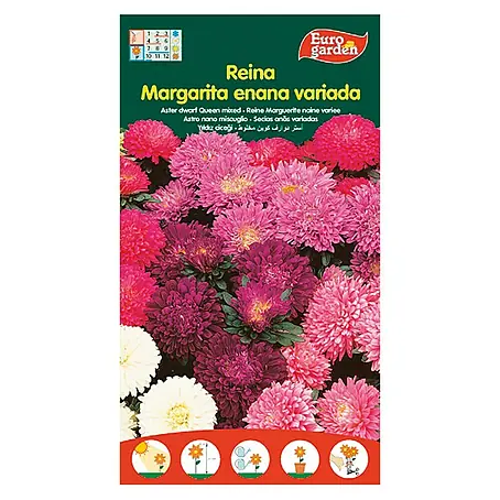 Euro Garden  Semillas de flores Reina Margarita enena variada