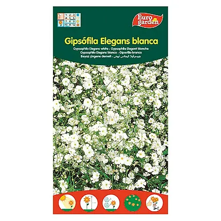 Euro Garden  Semillas de flores Gipsofila Elegans