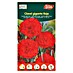 Euro Garden Semillas de flores Clavel Gigante rojo 