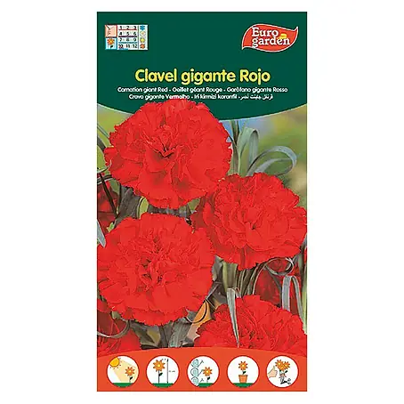 Euro Garden  Semillas de flores Clavel Gigante rojo