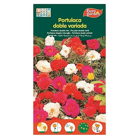 Euro Garden  Semillas de flores Portulaca Doble Variada
