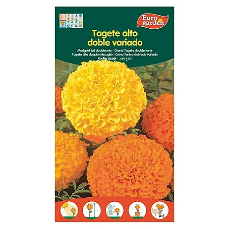 Euro Garden  Semillas de flores Tagete alto Doble