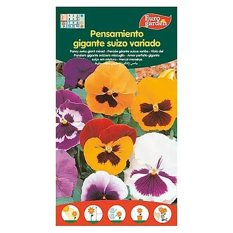 Euro Garden  Semillas de flores Pensamiento de jardín