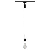 Paulmann URail Lámpara colgante DecoSystems (20 W, Altura: 135 cm, Negro) | BAUHAUS