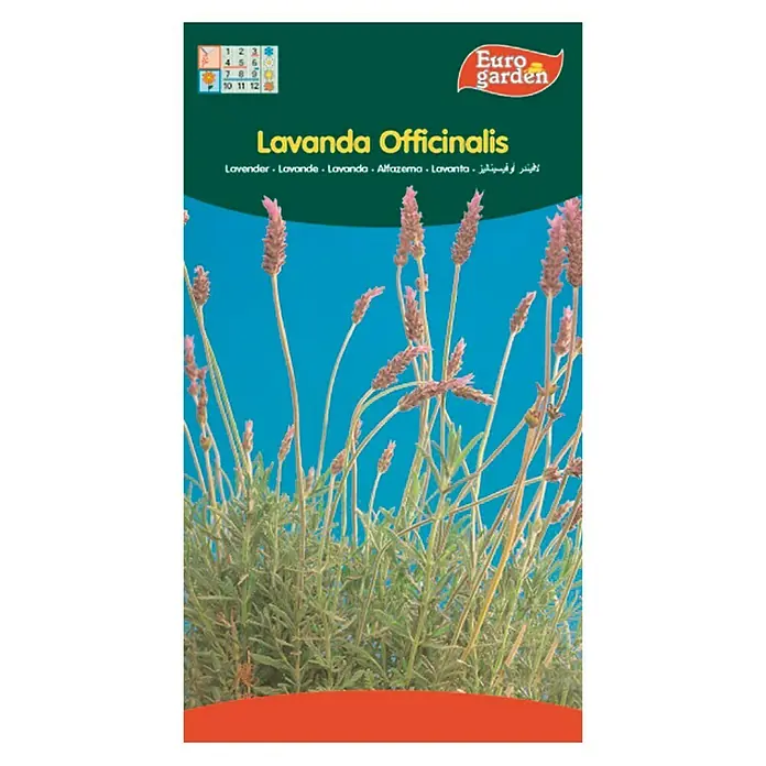 Euro Garden Semillas de flores Lavanda Officinalis - Época de floración: Junio - Imagen de un paquete de semillas de Lavanda Officinalis de Euro garden, que muestra una planta de lavanda en flor.