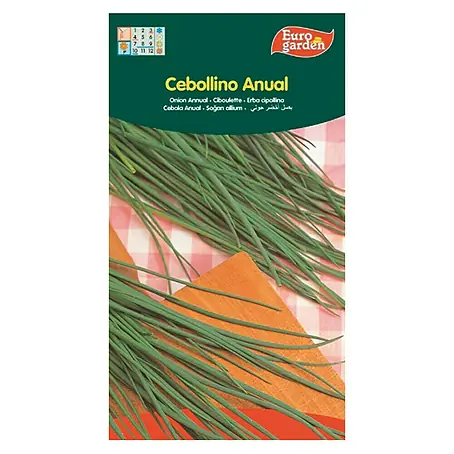 Euro Garden  Semillas de hierbas Cebollino anual