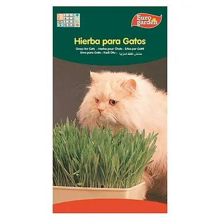 Euro Garden  Semillas de hierbas Hierba gatera