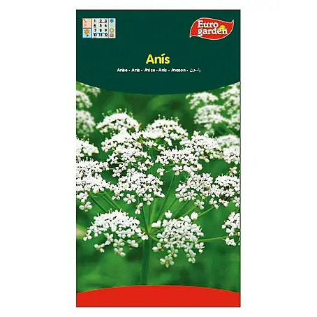 Euro Garden  Semillas de hierbas Anís
