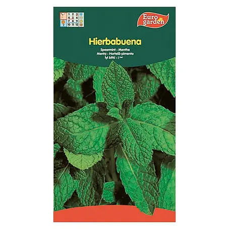 Euro Garden  Semillas de hierbas Hierbabuena