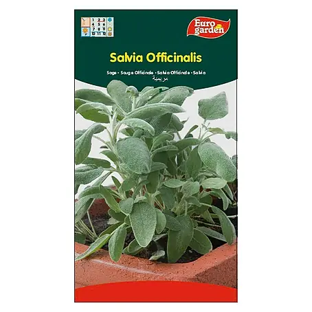 Euro Garden  Semillas de hierbas Salvia officinalis