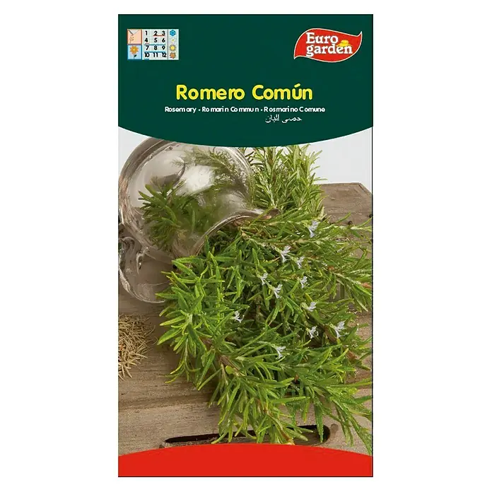 Euro Garden Semillas de hierbas Romero común - Tiempo de siembra: Febrero, Cosecha: Abril - Un paquete de semillas de romero "Euro Garden", ideal para cultivar romero aromático en tu propio jardín.