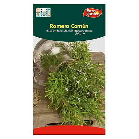 Euro Garden  Semillas de hierbas Romero común
