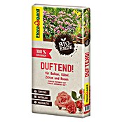 Floragard Bio-Pflanzerde Duftend! (40 l)