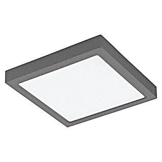 Eglo LED-Wand- & Deckenleuchte Argolis-C (22 W, L x B x H: 30 x 30 x 3,5 cm, Anthrazit)