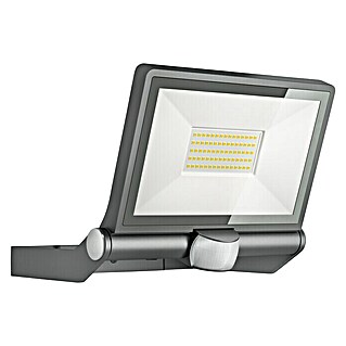 Steinel LED reflektor sa senzorom (42,6 W, D x Š x V: 22,2 x 25,9 x 21,5 cm, Antracit, IP44)