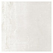 BHS Showroom Pavimento porcelánico Lifetime (50 x 50 cm, Beige)