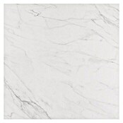 BHS Showroom Pavimento porcelánico Luxe (60 x 60 cm, Blanco)