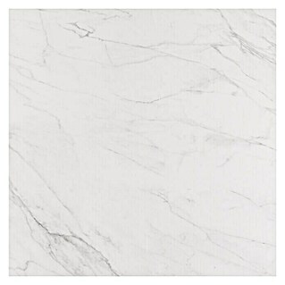 BHS Showroom Pavimento porcelánico Luxe (60 x 60 cm, Blanco, Brillante, Rectificado)