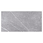 BHS Showroom Revestimiento de pared Odyssey (30 x 60 cm, Gris, Marmolado)