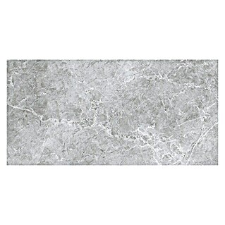 BHS Showroom Pavimento porcelánico Lione (75 x 37 cm, Gris, Rectificado)