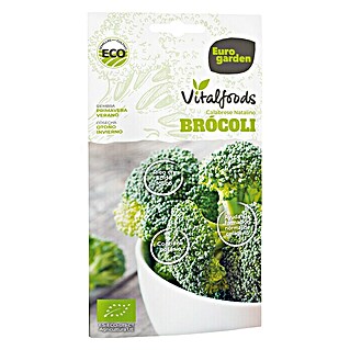 Euro Garden Semillas de vegetales Brócoli calabrese (Cosecha: Septiembre)