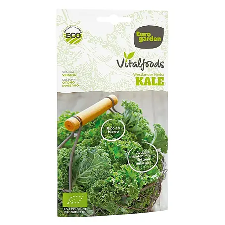 Euro Garden  Semillas de vegetales Repollo Kale