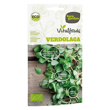 Euro Garden  Semillas de flores Verdolaga