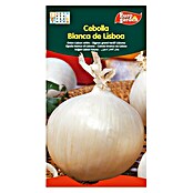 Bulbos de cebolla Blanca de Lisboa