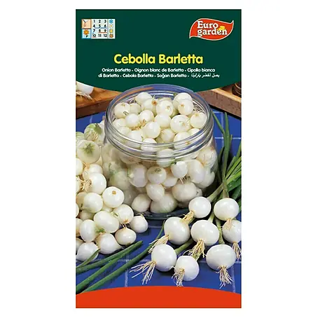 Euro Garden  Bulbos de cebolla Barletta