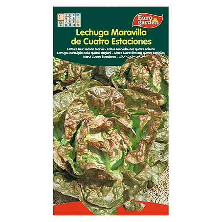 Euro Garden  Semillas de lechuga Maravilla 4 estaciones