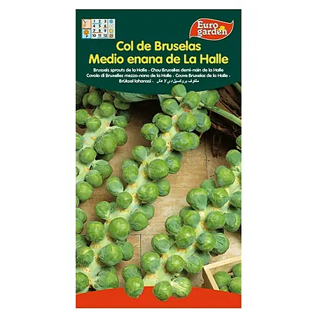 Euro Garden  Semillas de vegetales Col de bruselas med. enana