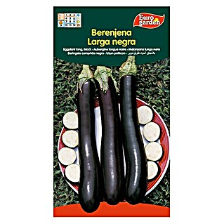 Euro Garden Semillas de vegetales Berenjena larga negra (Cosecha: Junio)