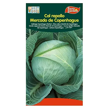 Euro Garden  Semillas de vegetales Col repollo mercado de Copenhague