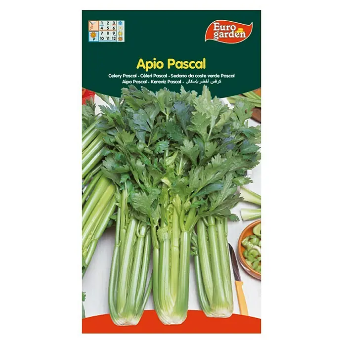 Euro Garden Semillas de vegetales Apio Pascal - Cosecha: Septiembre - Imagen de un paquete de Euro Garden Apio Pascal. El producto es apio, con tallos y hojas verdes frescos.