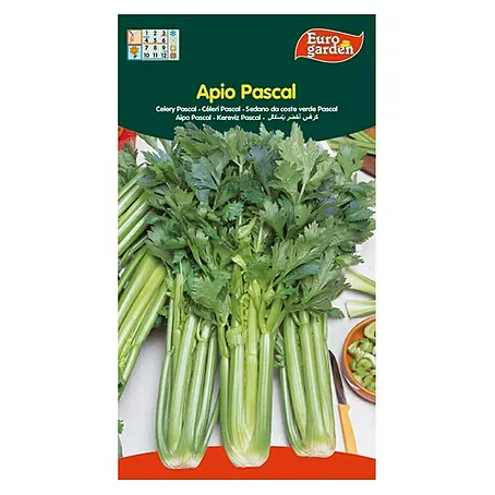 Euro Garden  Semillas de vegetales Apio Pascal